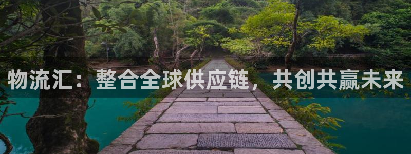 28圈.ccmpcios：物流汇：整