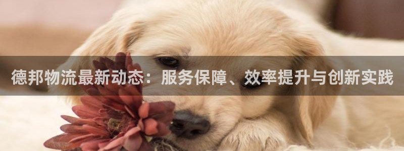 28圈p扣除：德邦物流最新动态：服务