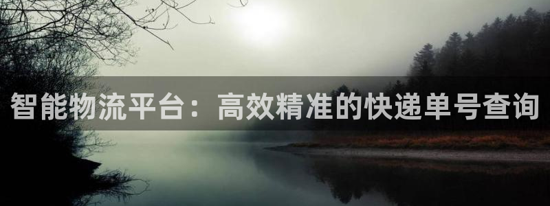 28圈圈助手：智能物流平台：高效精准