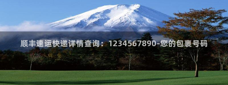 28圈怎么下载教程：顺丰速运快递详情