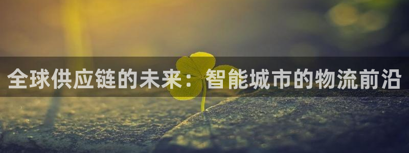 28圈.ccm2024：全球供应链的