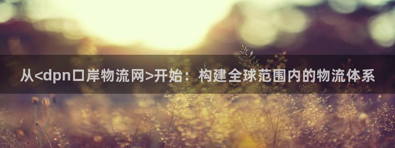 28圈注册问一问：从<dpn口岸物流