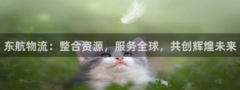 28圈是南宫旗下的吗：东航物流：整合