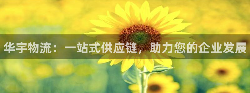 28圈初始密码在哪里修改：华宇物流：