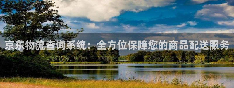 28圈加拿大怎么玩：京东物流查询系统