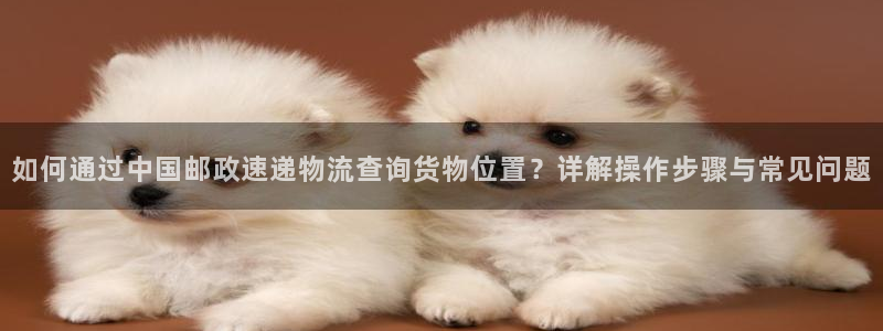 28圈口戒指是多大：如何通过中国邮政