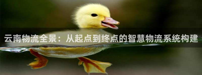 28圈.ccmpc29官网版：云南物