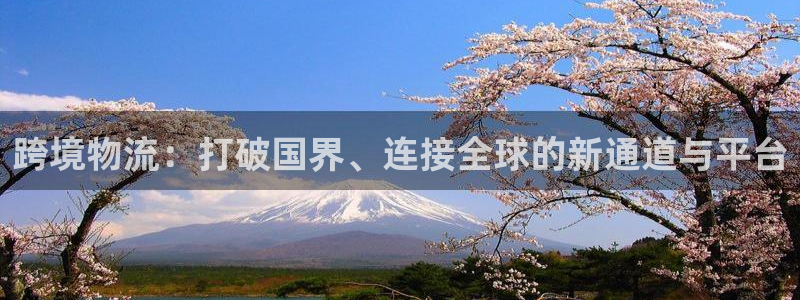 28圈注册网站APP：跨境物流：打破