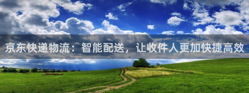 28圈黑款：京东快递物流：智能配送，