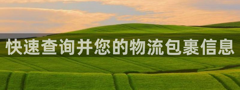 28圈如何看012路计划：快速查询并