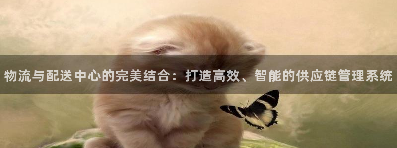 28圈注册地址：物流与配送中心的完美
