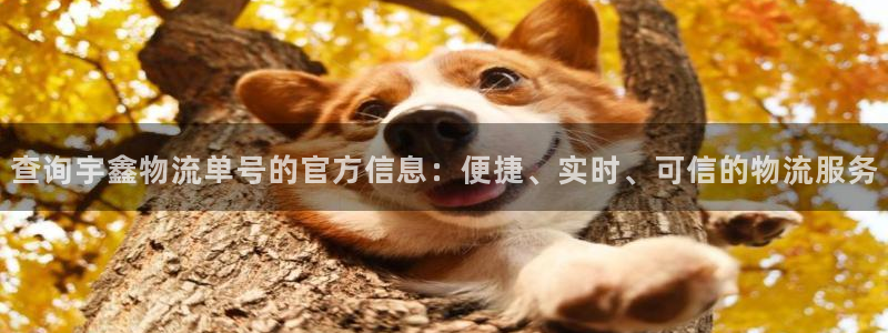 28圈如何看012路计划：查询宇鑫物