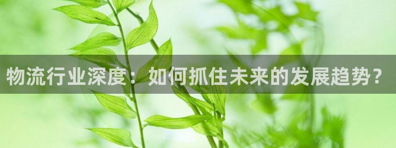 28圈app赢了500万：物流行业深