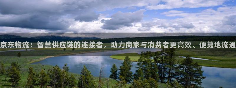 28圈体育下载：京东物流：智慧供应链