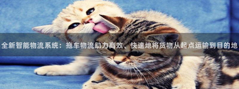 28圈app怎么注册账号：全新智能物