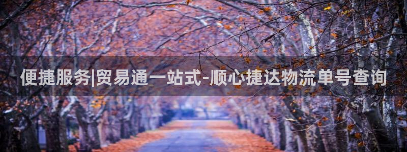 28圈能提现吗
