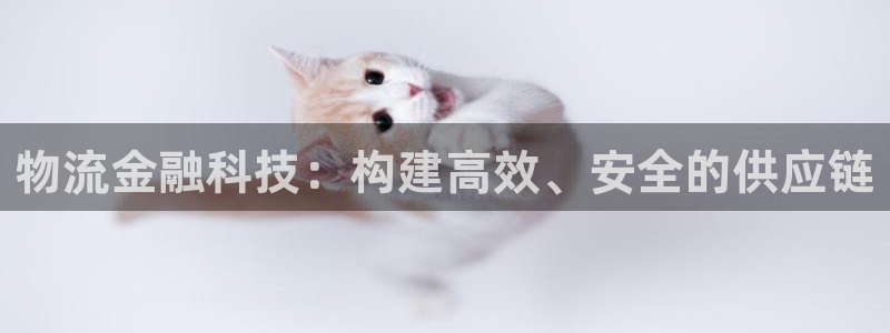 28圈：物流金融科技：构建高效、安全