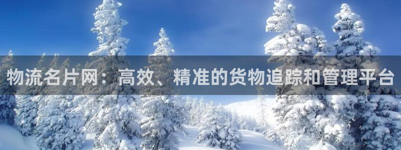 28圈加拿大技巧:物流名片网:高效、