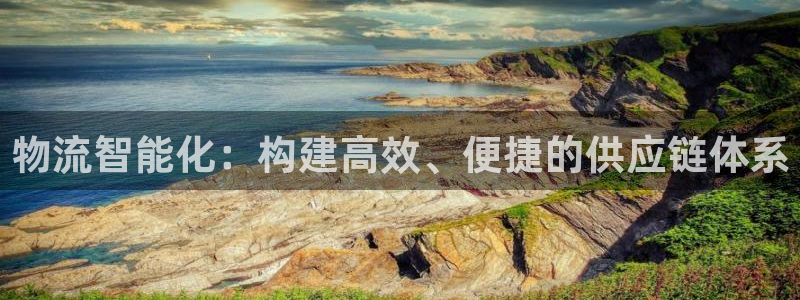 28圈怎么注册游戏名字:物流智能化: