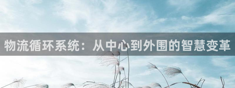 28圈官网版所有版本：物流循环系统：