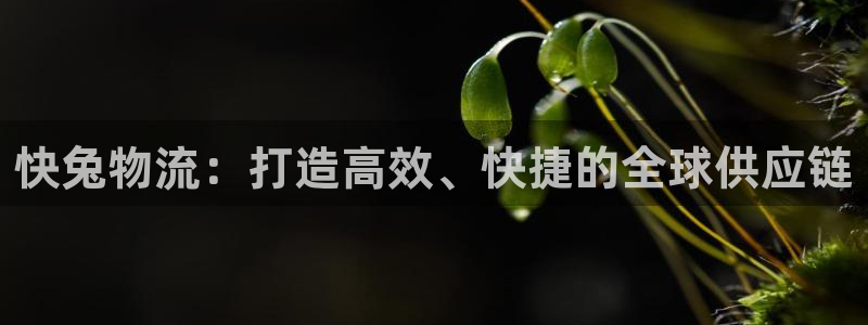 28圈加拿大怎么玩：快兔物流：打造高