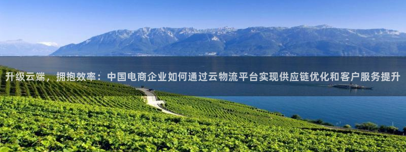 28圈注册：升级云端，拥抱效率：中国