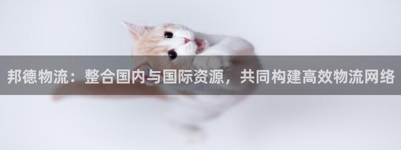 28圈口:邦德物流:整合国内与国际资