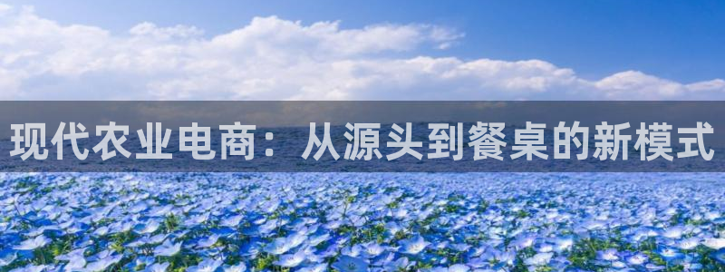 28圈相信品牌的力量