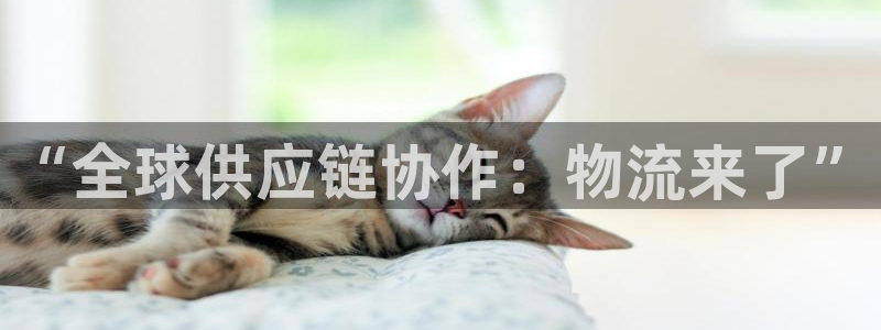 28圈能赢钱吗:“全球供应链协作:物