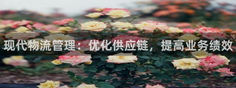 28圈注册二维码