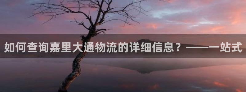 28圈注册送:如何查询嘉里大通物流的