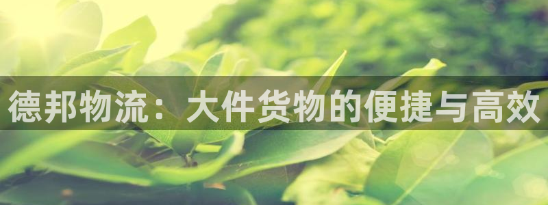 28圈分分28输了能不能退