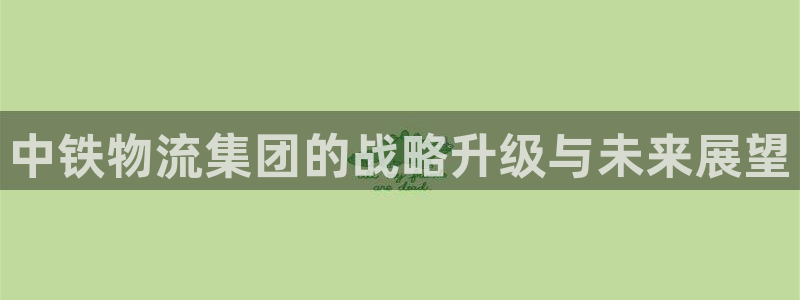 28圈模拟器下载：中铁物流集团的战略