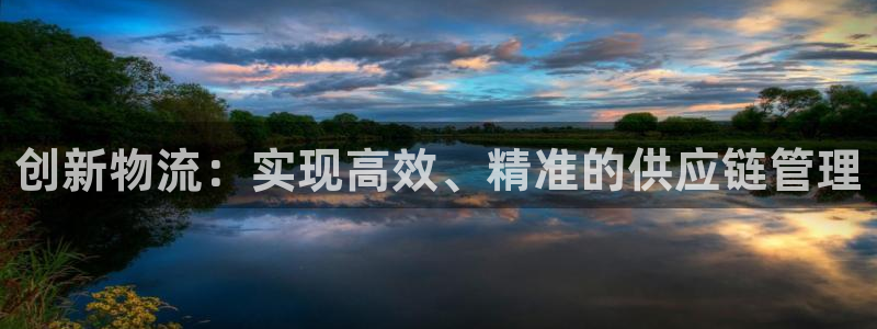 28圈起来的符号：创新物流：实现高效