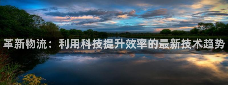 28圈链接是什么：革新物流：利用科技