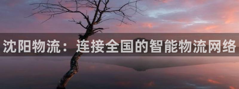 28圈注册用户名是什么：沈阳物流：连