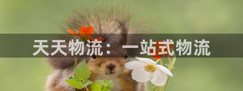 28圈口内径是多大：天天物流：一站式