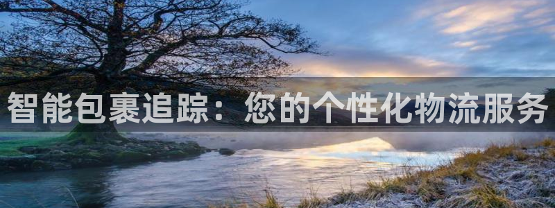28圈连接：智能包裹追踪：您的个性化