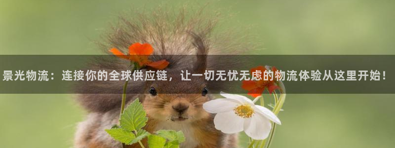 28圈稳吗：景光物流：连接你的全球供