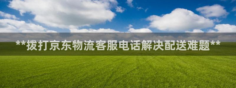 28圈游戏官网入口：**拨打京东物流
