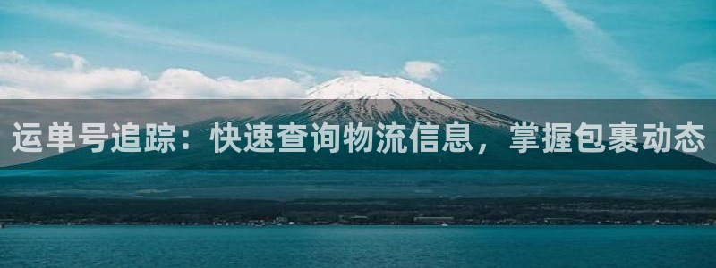 28圈流水怎么算：运单号追踪：快速查
