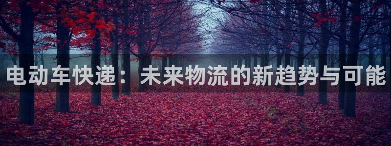 28圈游戏官网平台：电动车快递：未来