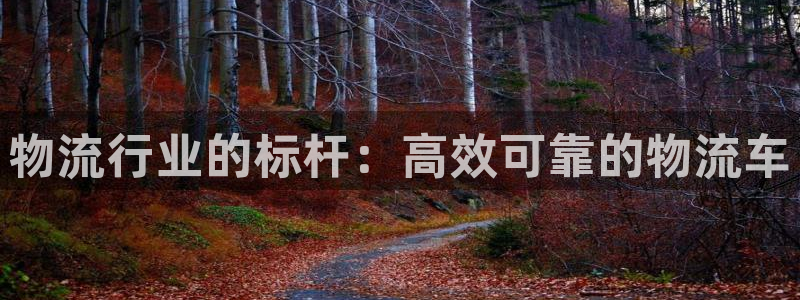 28圈充值不处理