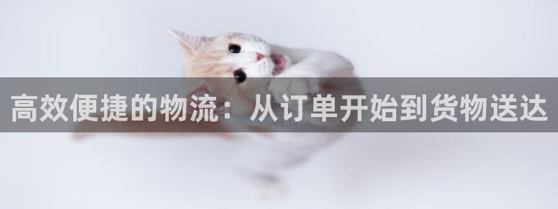 28圈的自行车：高效便捷的物流：从订