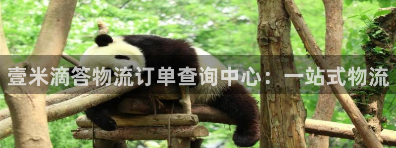 28圈登录网:壹米滴答物流订单查询中