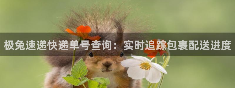 28圈加拿大最新版：极兔速递快递单号