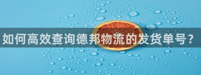 28圈能赢钱吗:如何高效查询德邦物流
