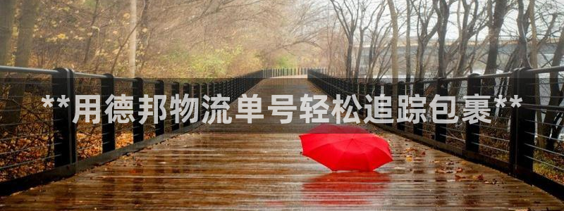 28圈分分28预测：**用德邦物流单