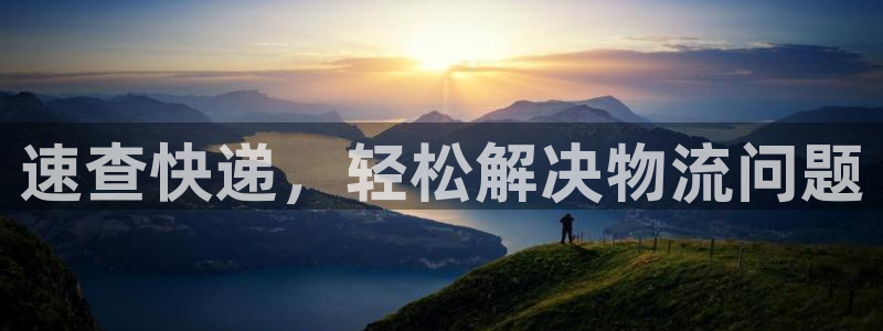 28圈官方网站是多少：速查快递，轻松