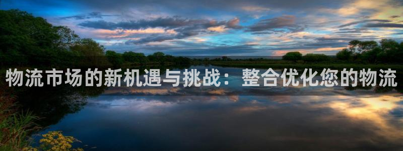 28圈怎么注册账号和密码：物流市场的